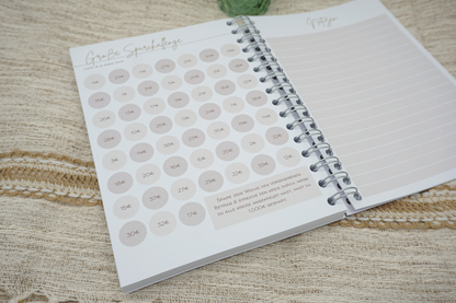 Budgetplaner (neue Version)