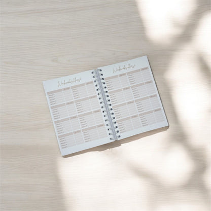 Budgetplaner (neue Version)